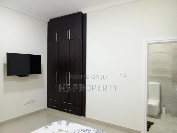 Furnished 2bdrm Apartment in Cantonments for rent photo 9