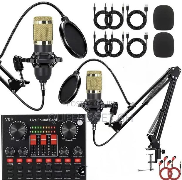 2 In 1 Double Professional Condenser Microphone