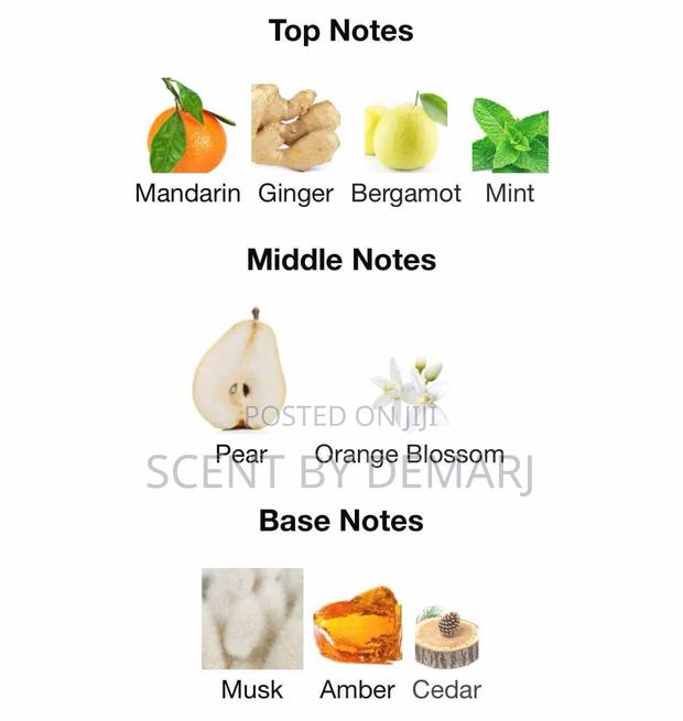 Art Of Universe image 4