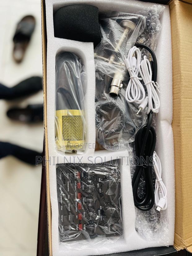 V8 Professional Condenser Microphone