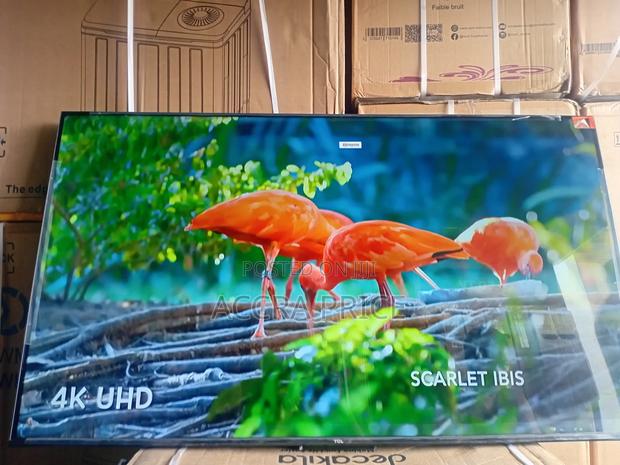 Beauty Empire With Tcl55 · Photo 3