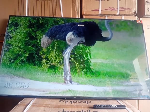 Lead On, Head Fix Tcl55 · Photo 3