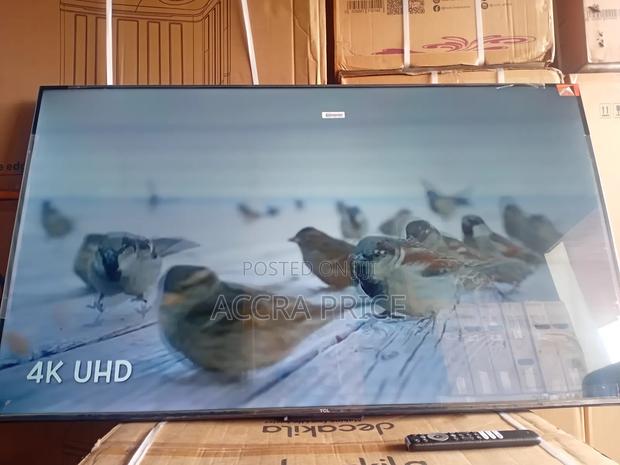 Lead On, Head Fix Tcl55 · Photo 4