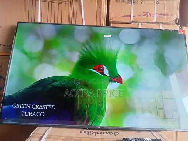 Picking the Best Out of the Rest With Tcl55 · Photo 4