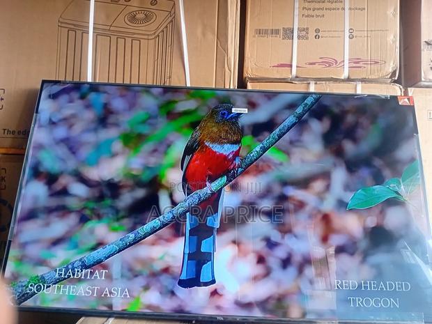 Live Memories in Dreams With Tcl55 · Photo 3