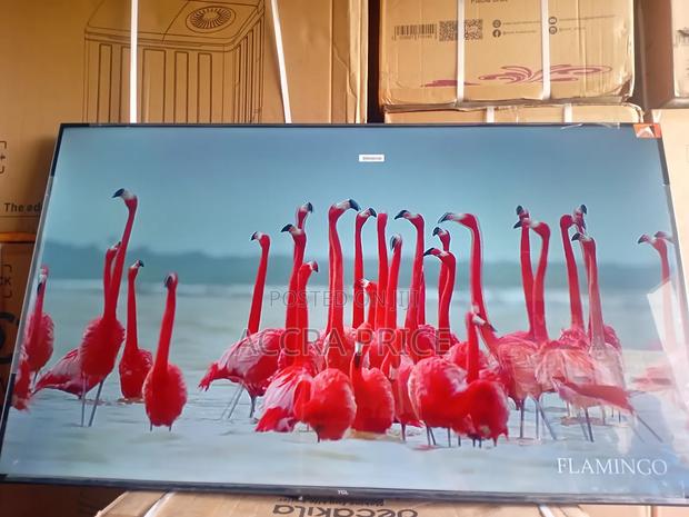 Lift the Dullness With Tcl55 · Photo 4
