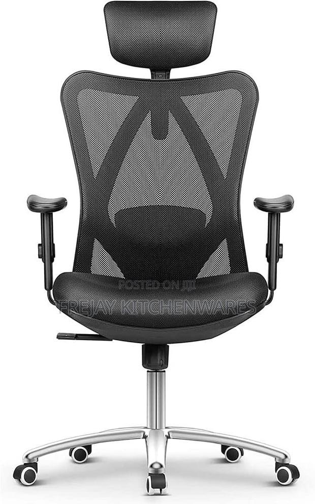 Ergonomic Office Chair