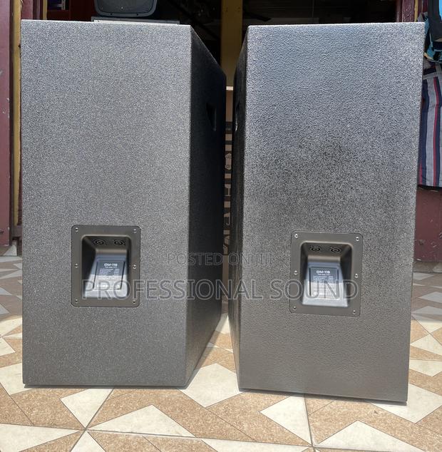 Evp Audio 15” Speaker · Photo 4