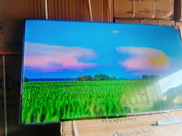 Feeling the Vibes 55tcl · Photo 3
