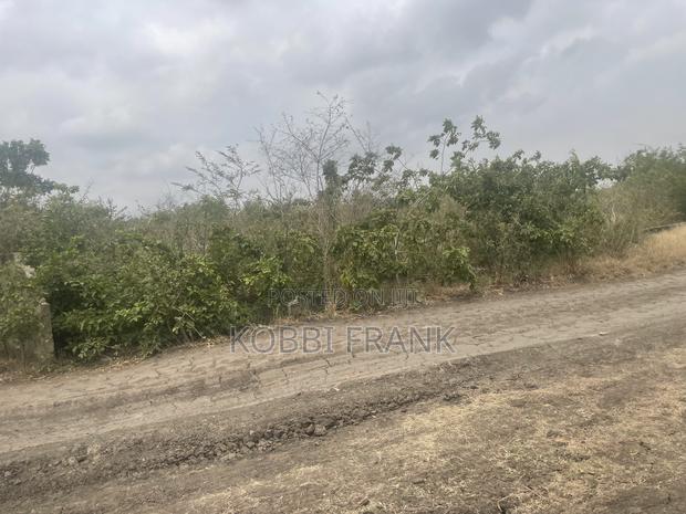 Service Plot for Sale at Prampram · Photo 4