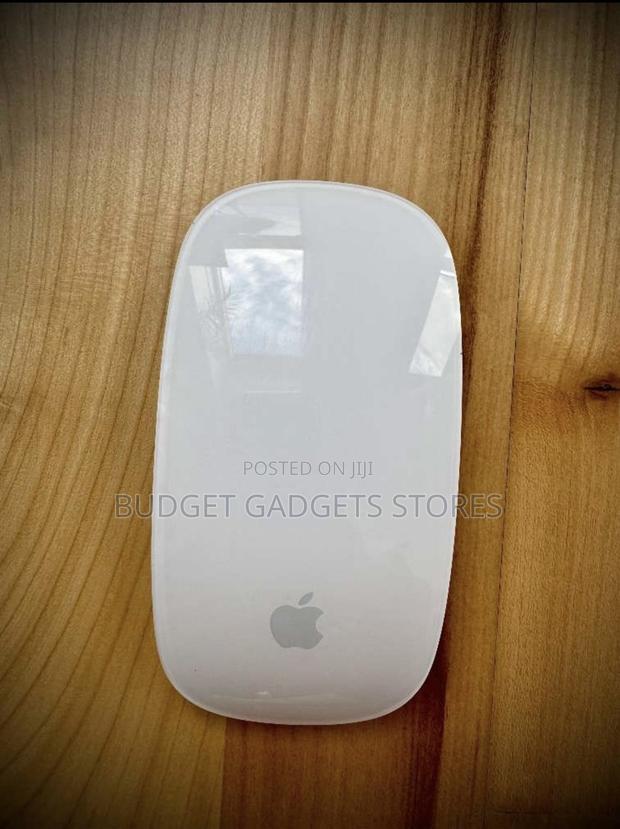 Apple Magic Mouse 1