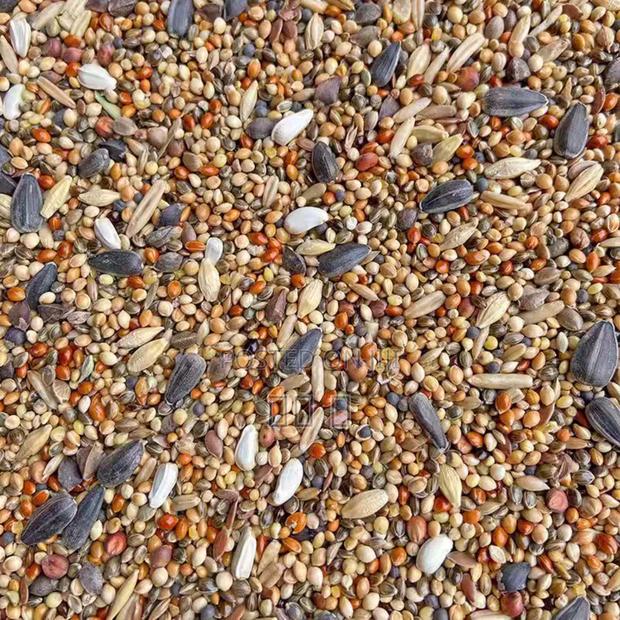 Chinese Bird Food Is Delicious but Not Expensive · Photo 3
