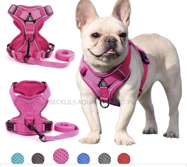 Grade a Quality Dog Harness · Photo 4