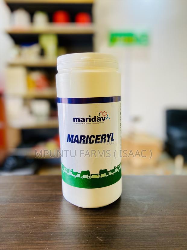 Mariceryl ( Maridav ) photo 3