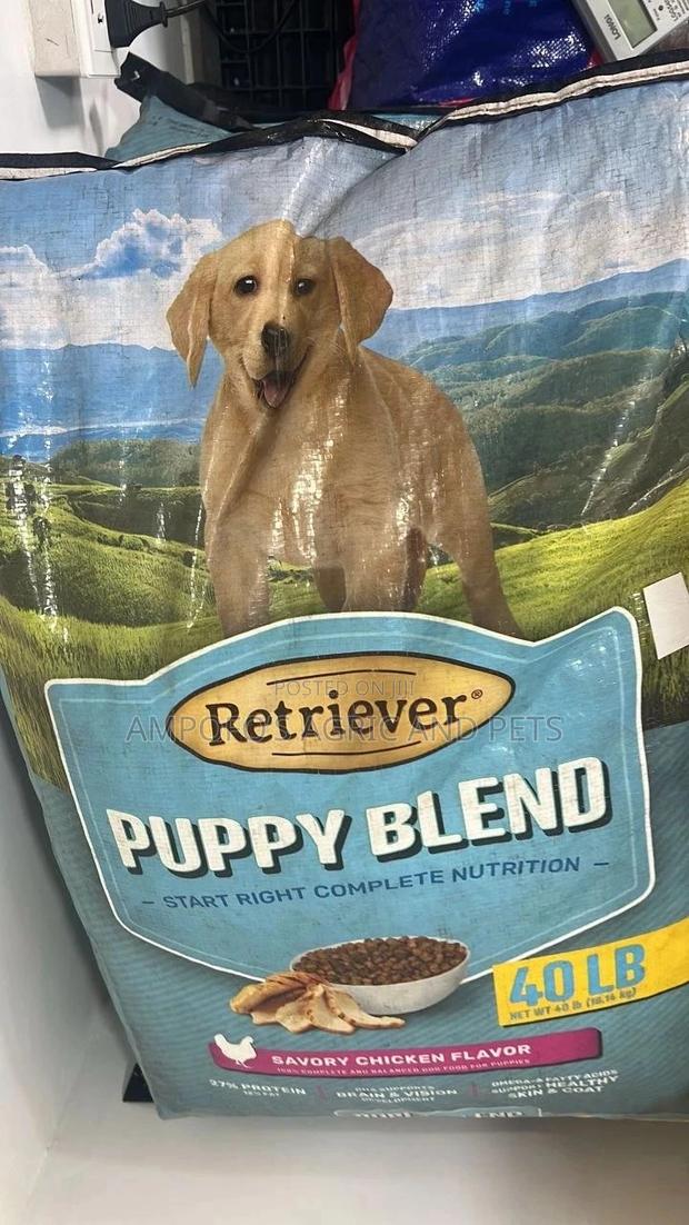 Retriever Puppy Blend