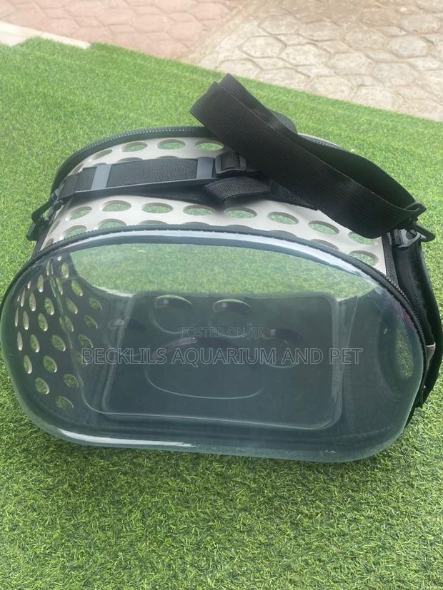 Plastic Ash Dog Carrier · Photo 4
