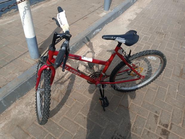 Crestwood Free Spirit Bicycle. photo 3