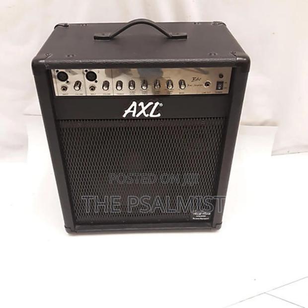 Axl B-60 Bass Amp Customized Combo With Lineout
