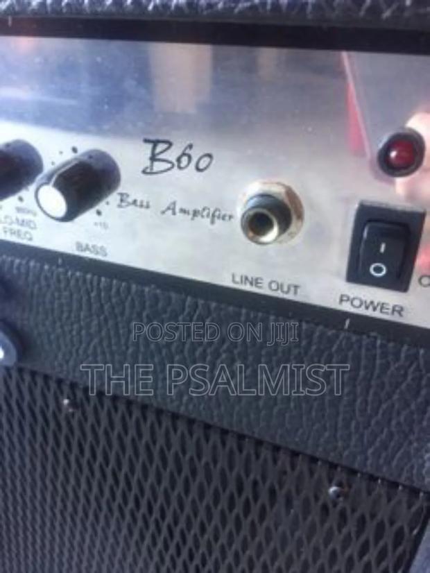 Axl B-60 Bass Amp Customized Combo With Lineout photo 2