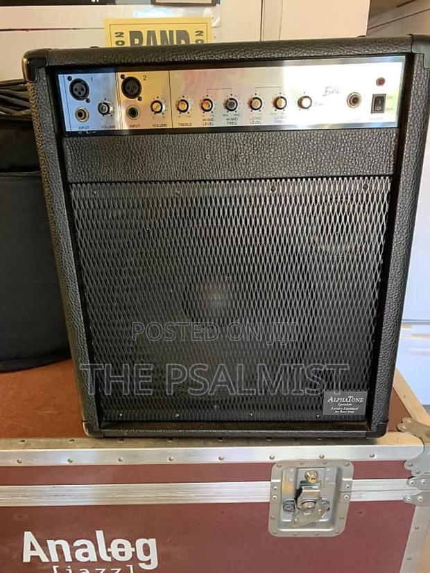 Axl B-60 Bass Amp Customized Combo With Lineout photo 3