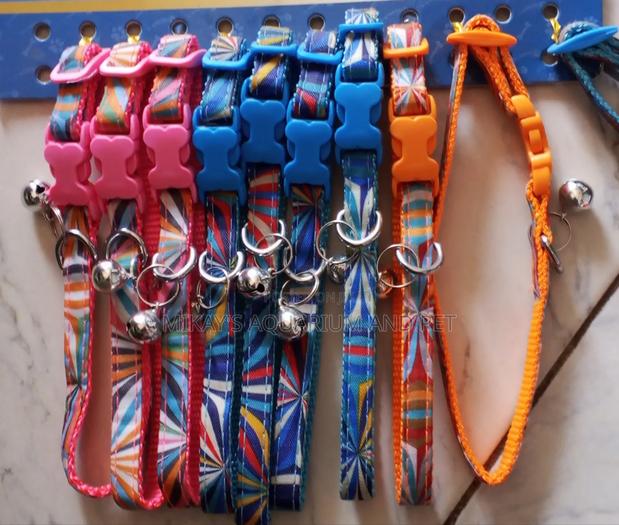 Adjustable Collar for Dogs · Photo 2