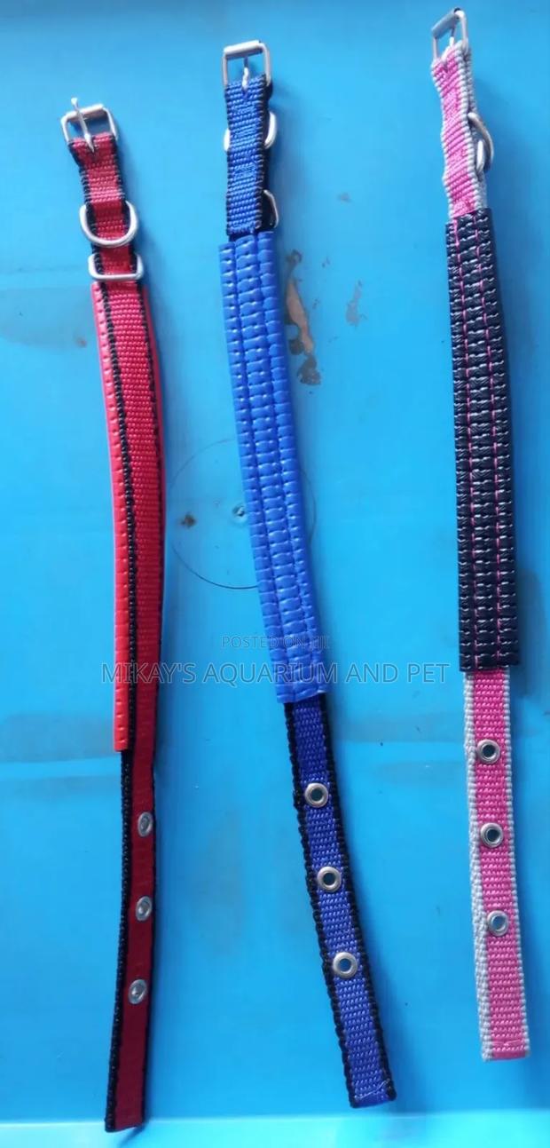 Collar for Big Dogs · Photo 2