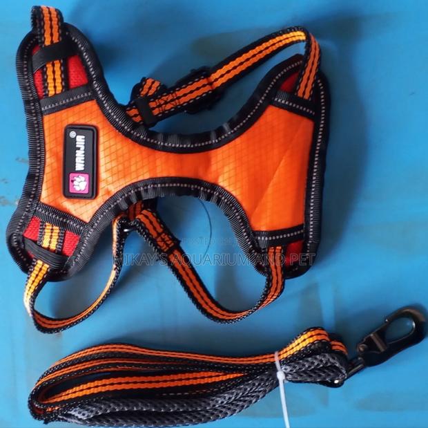 Leash With Harness for Dog · Photo 4