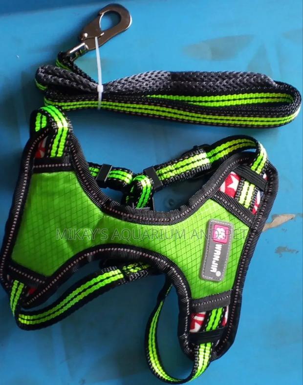 Leash With Harness for Dog · Photo 3