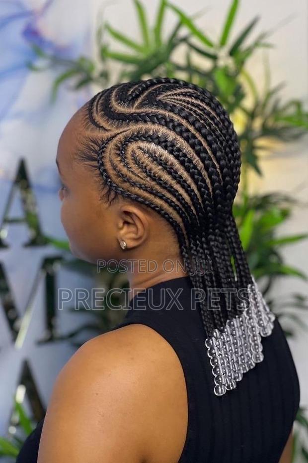 Braids Home Service · Photo 2