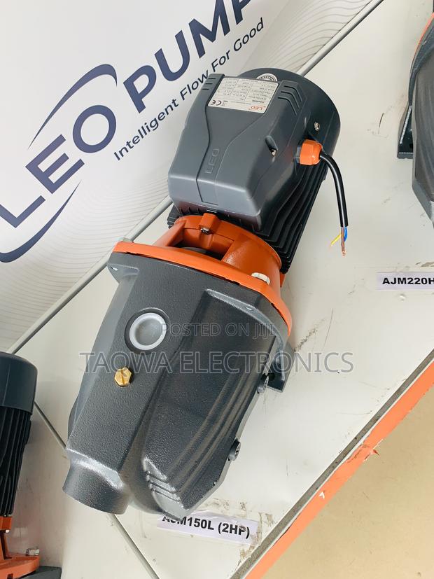Leo Jet 2hp Water Pump · Photo 2