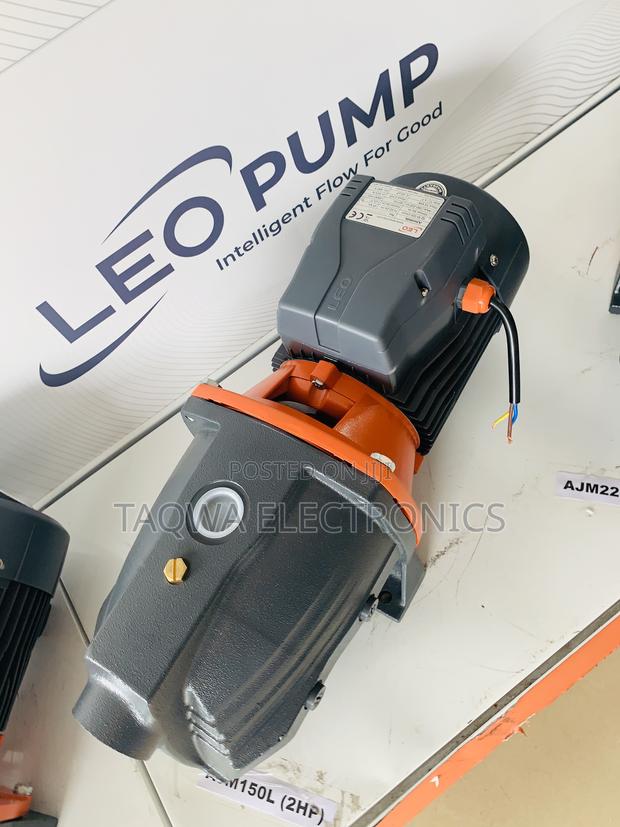2-Hp Leo Cast Pump · Photo 2