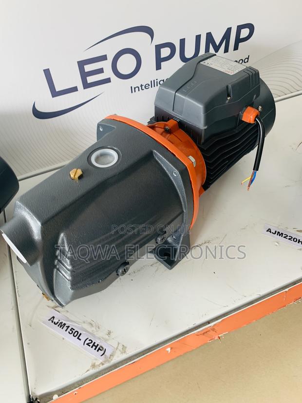 Domestic Leo 2hp Self Priming Pump · Photo 2