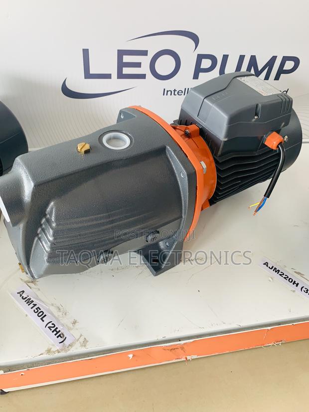 Portable Cast Pump Leo 2hp · Photo 2