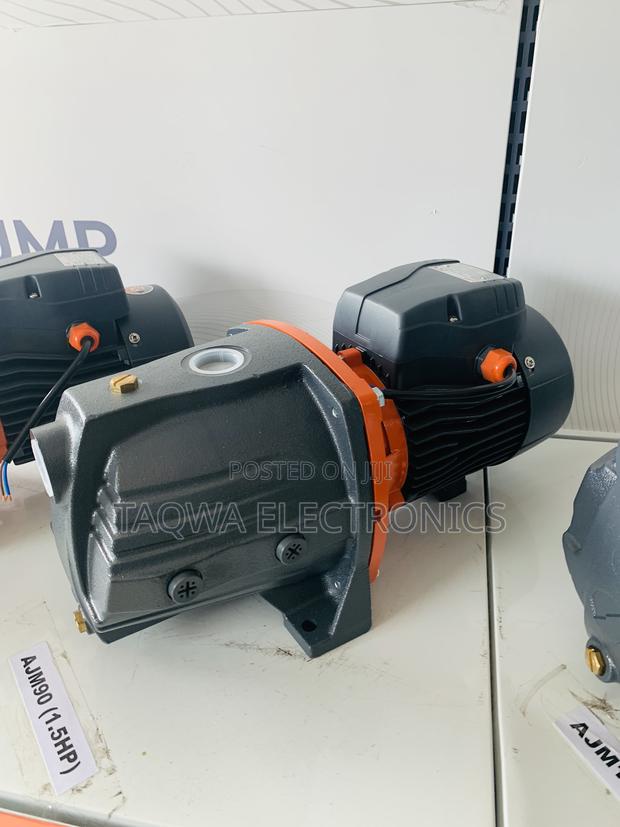 Leo Cast Ajm90 Series 1.5hp Cast Pump · Photo 2