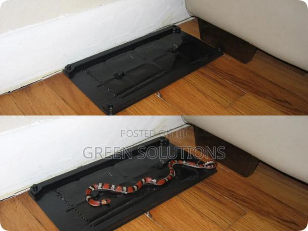 Mouse, Lizards, Snakes and Insect Trap photo 3