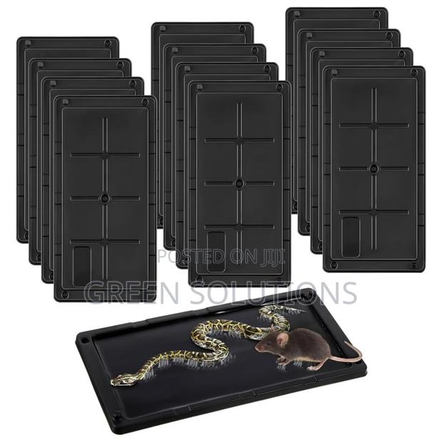 Mouse, Lizards, Snakes and Insect Trap photo 4