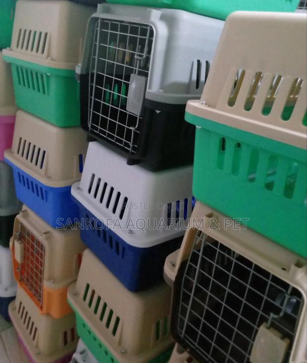 Pet Plastic Transporting Cages · Photo 2