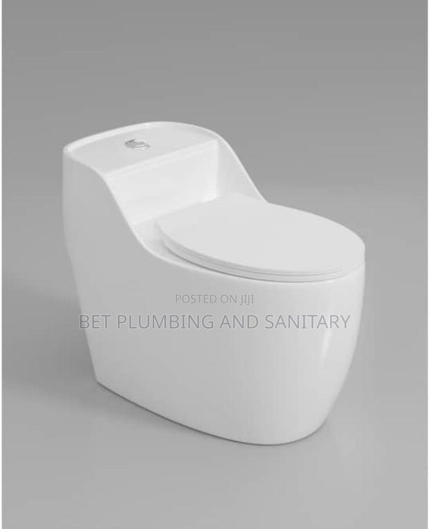 Italian Combine Water Closet _Soft Close Wc_dual Wc_ · Photo 2