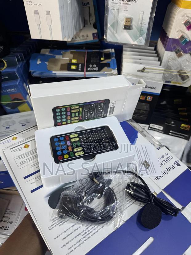 Voice Changer Portable Handheld Microphone photo 3
