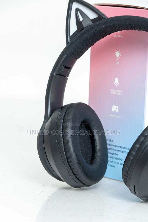 Headset (Cay Cat) photo 4