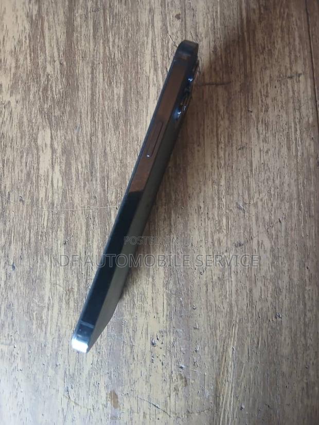Apple iPhone 12 Pro Max 256 GB Gray photo 6