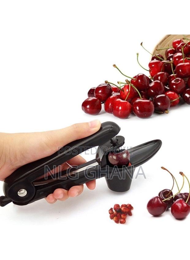 Cherry Pitter Olive Core Remover Tool - Black. Tvx25983