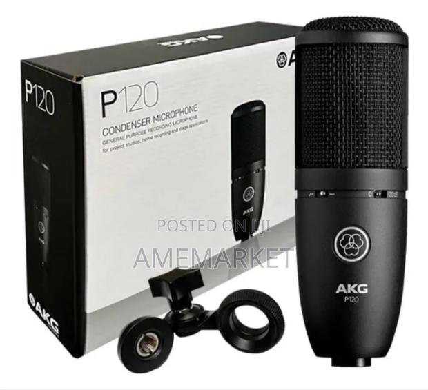 Akg-P120 Professional Recording Condenser Microphone