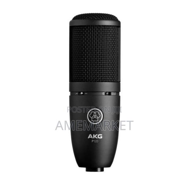 Akg-P120 Professional Recording Condenser Microphone photo 2