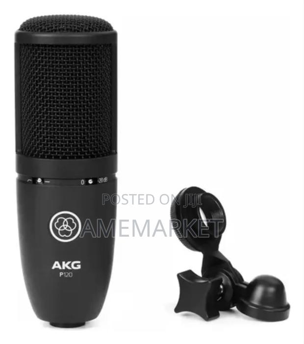 Akg-P120 Professional Recording Condenser Microphone photo 3