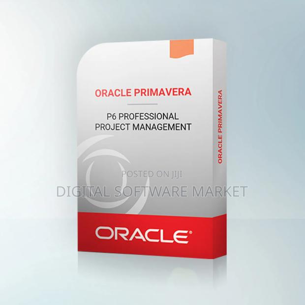 Primavera P6 Professional Project Management · Photo 2