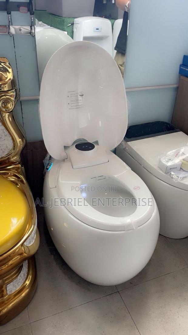 Smart Water Closet (Motion Sensor/Remote Control) · Photo 3