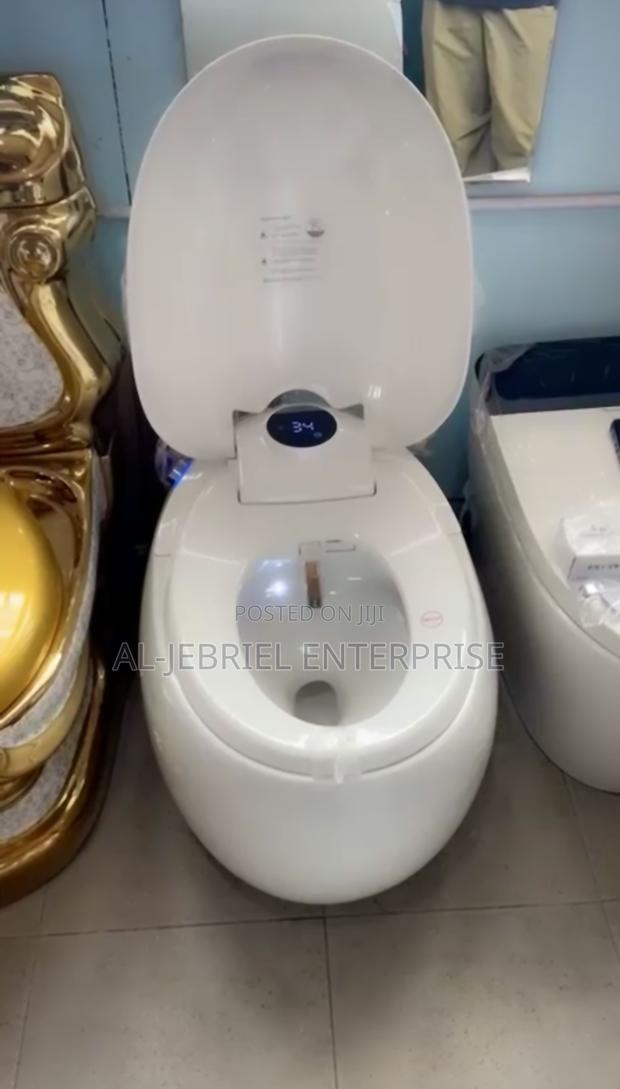 Smart Water Closet (Motion Sensor/Remote Control) · Photo 4