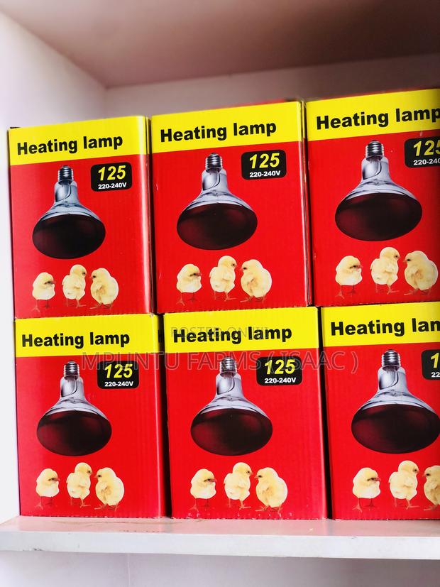 Infrared Heating Bulb