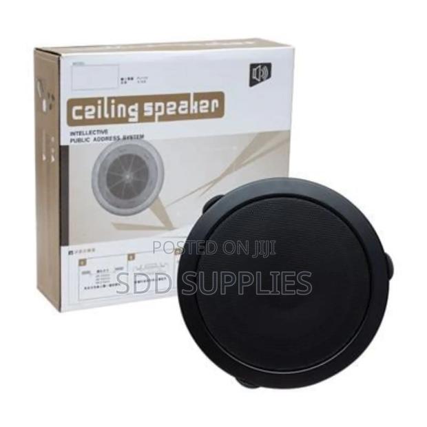 Ceiling Speaker Black Color 8 Ohms 10 Watts
